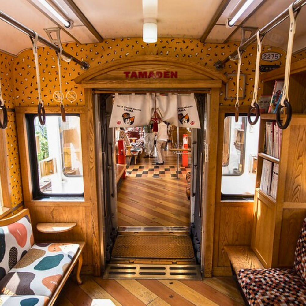 日本萌度爆表的猫猫列车！ 