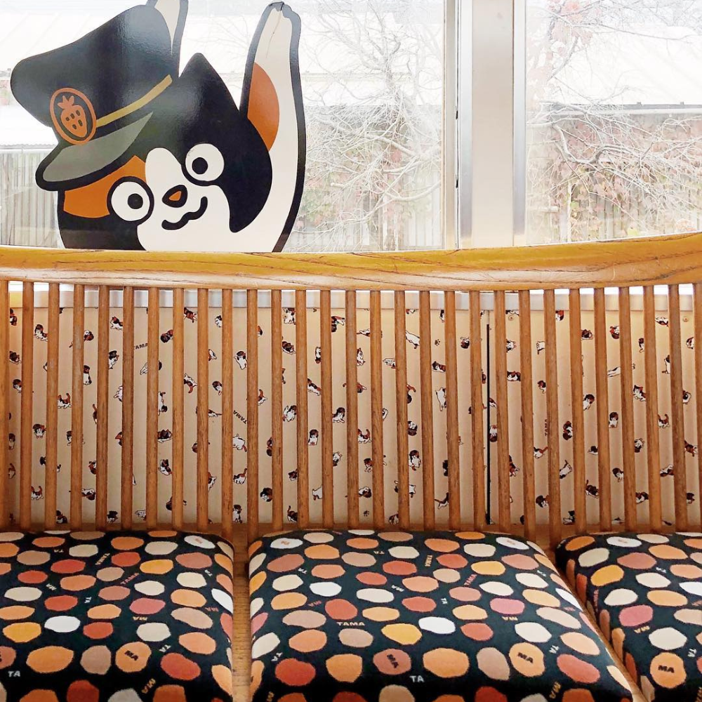 日本萌度爆表的猫猫列车！ 