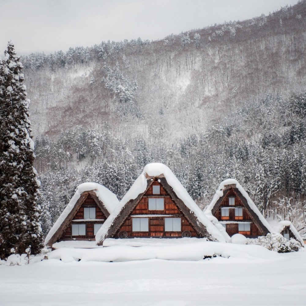 日本真实版的童话世界! 日本真实版的童话世界!