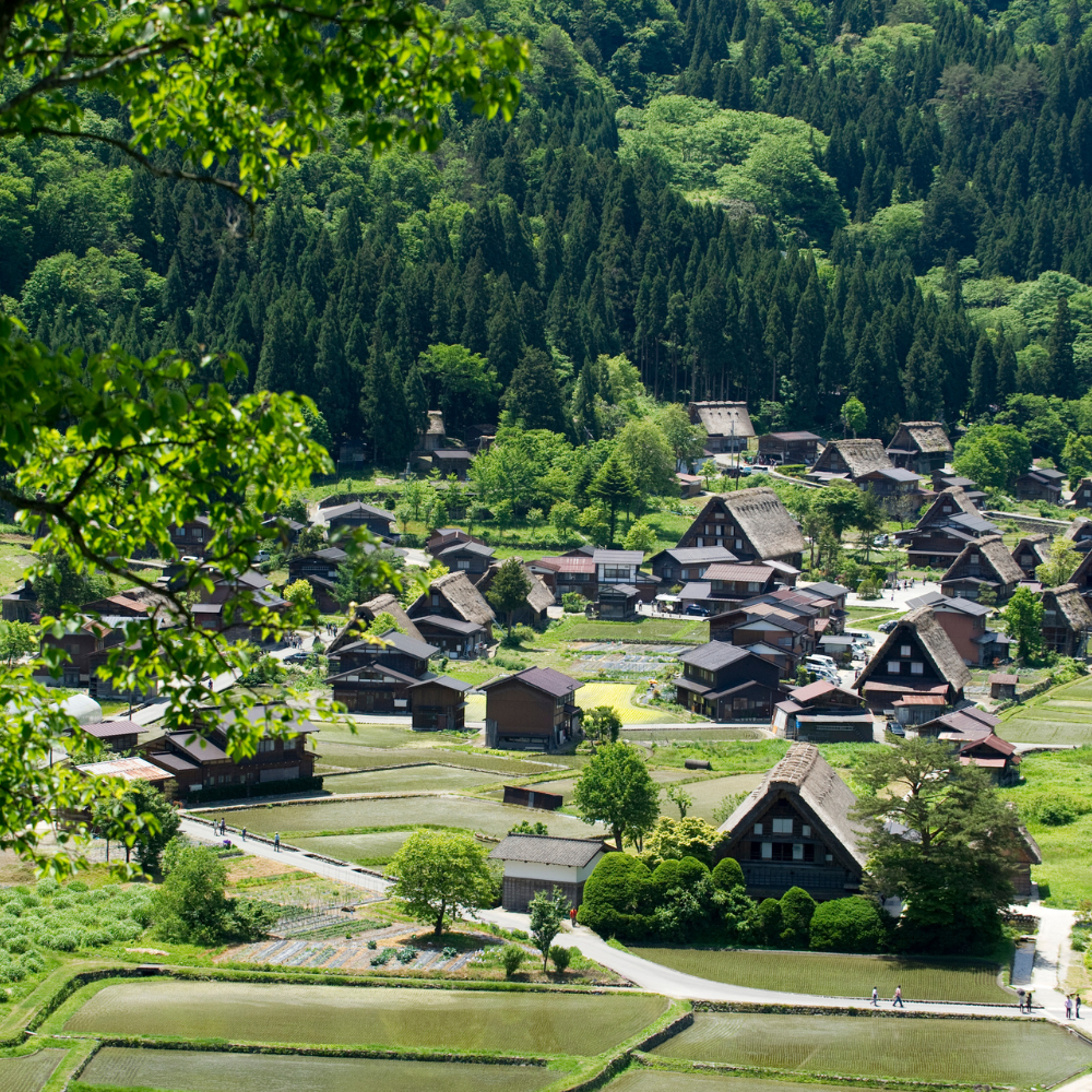 日本真实版的童话世界! 日本真实版的童话世界!