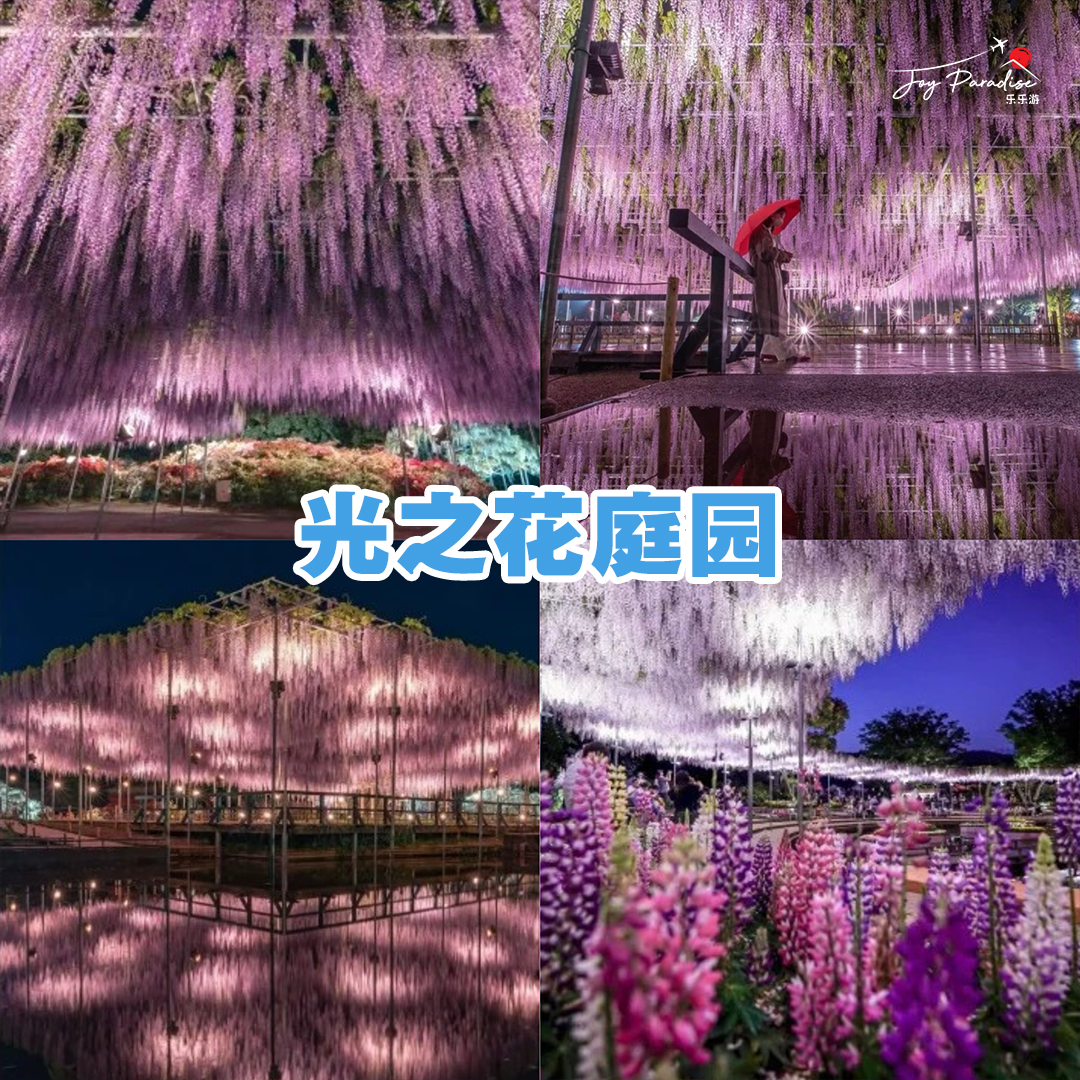 东京2024圣诞点灯活动！ 