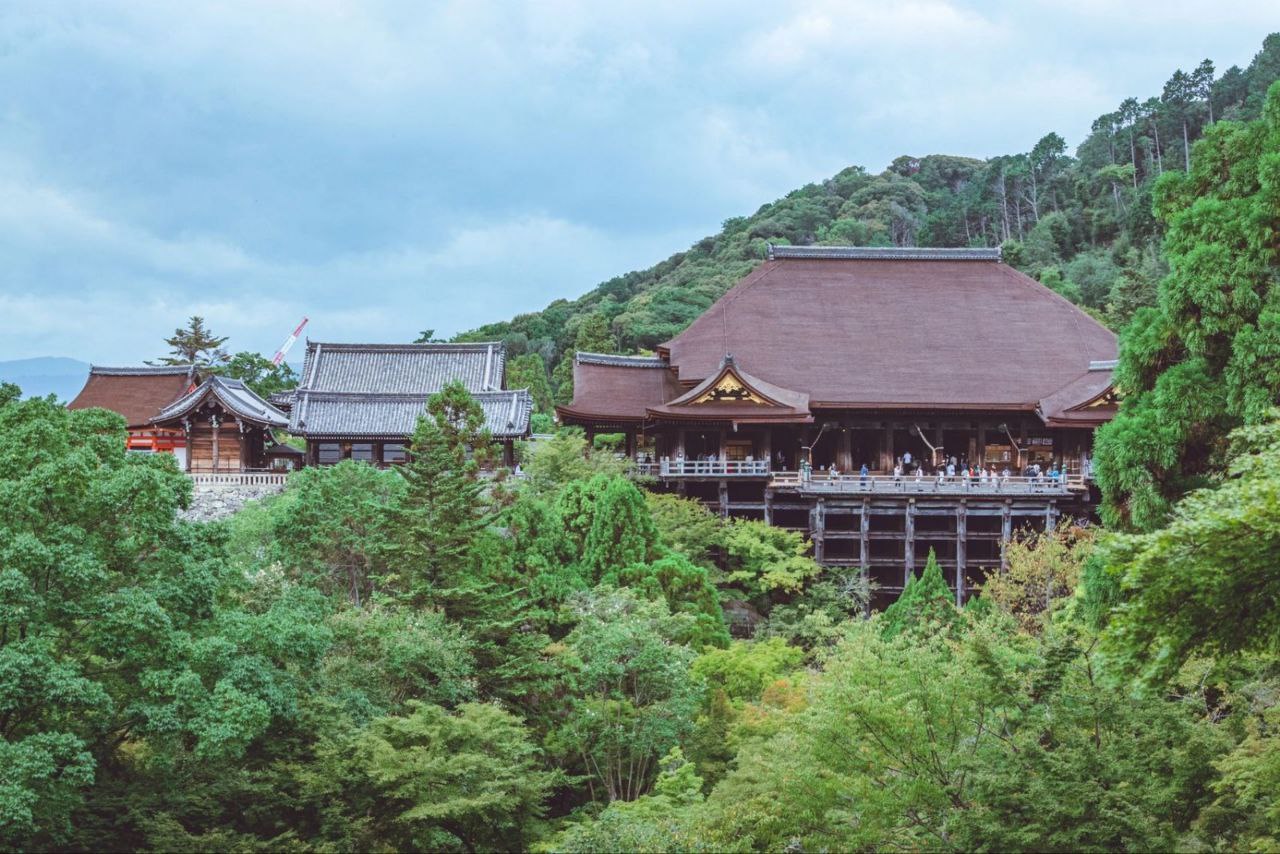 Kyoto Day Tour  | Joy Paradise Solution - Japan Private Tour 日本包车