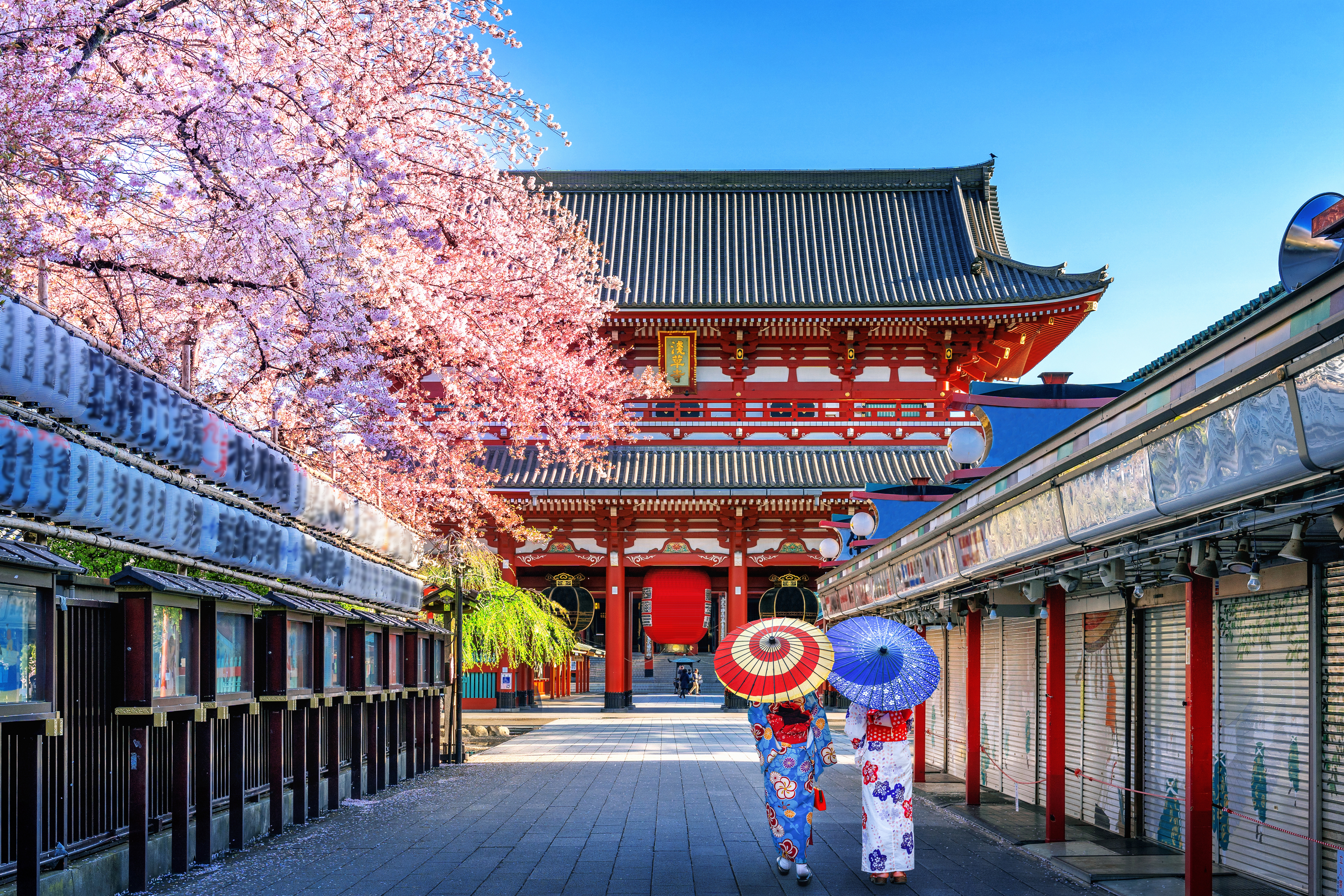 Tokyo City Tour | Joy Paradise Solution