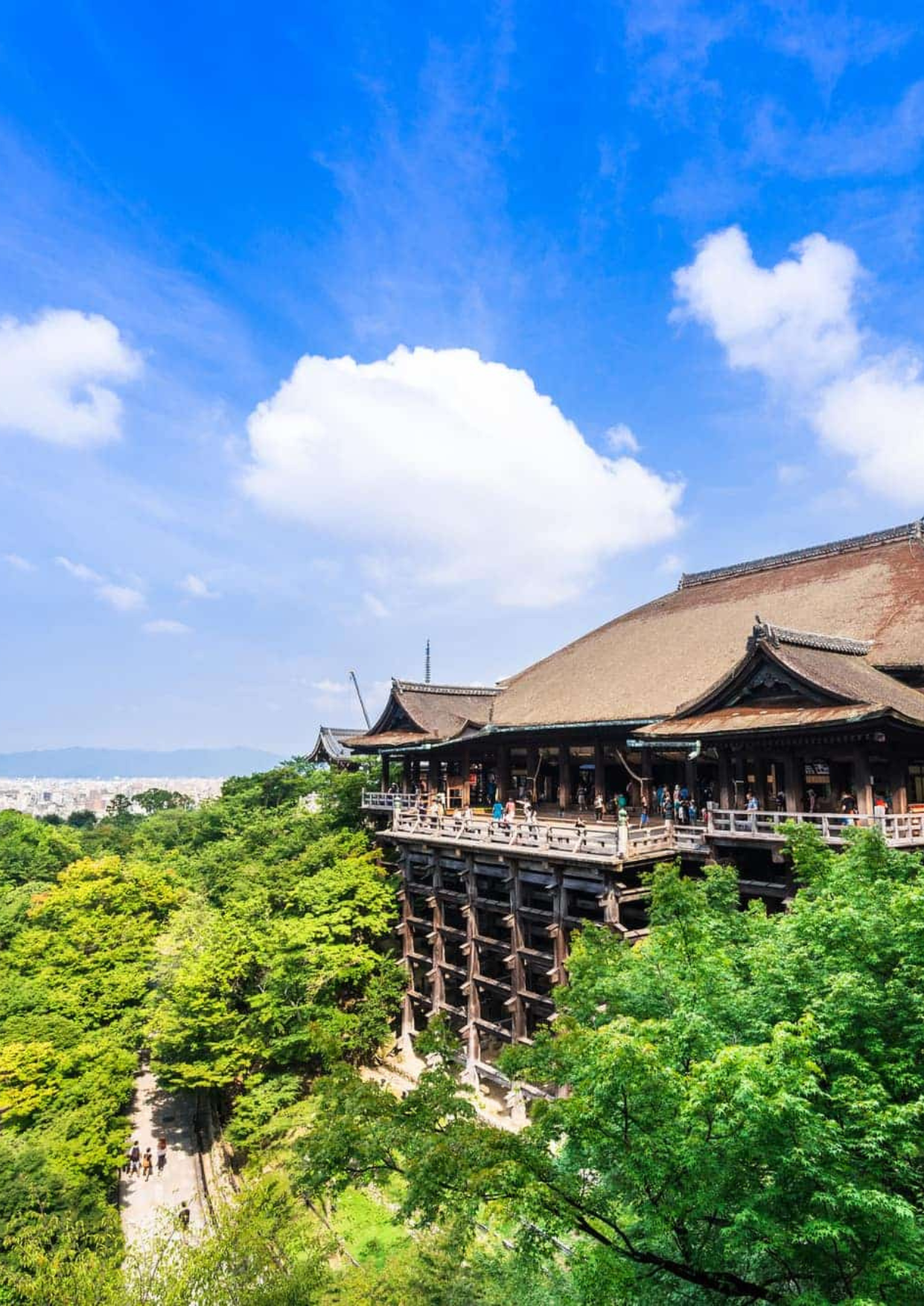 The charm of ancient Kyoto Day Tour | Joy Paradise Solution - Japan Private Tour 日本包车