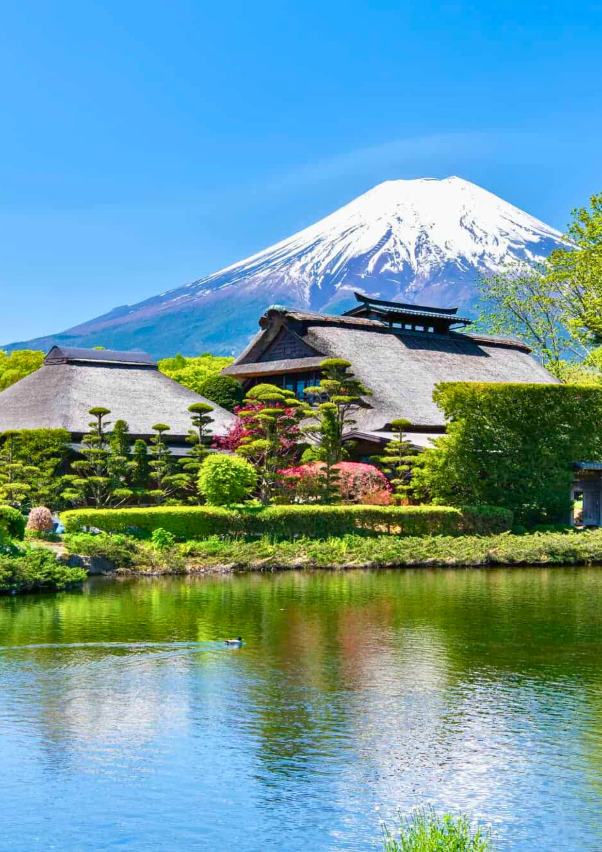 Mt. Fuji Oshino Hakkai Gotemba Day Tour | Joy Paradise Solution - Japan Private Tour 日本包车