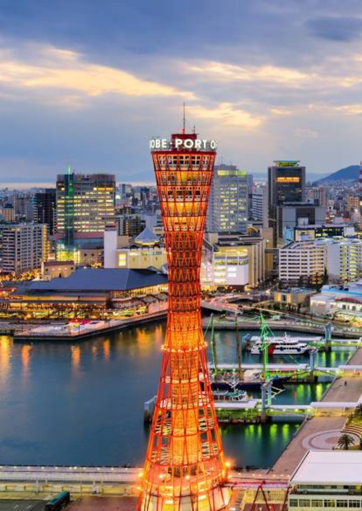 Kobe Night View City Day Tour | Joy Paradise Solution - Japan Private Tour 日本包车